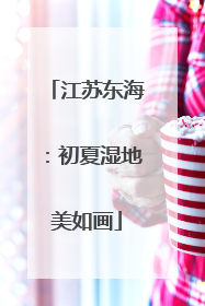 江苏东海：初夏湿地美如画