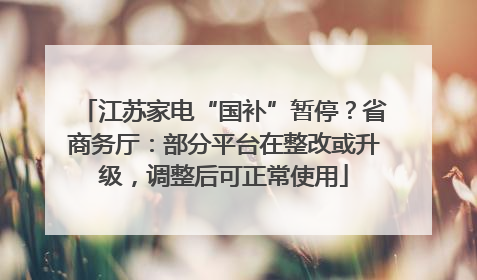 江苏家电“国补”暂停？省商务厅：部分平台在整改或升级，调整后可正常使用