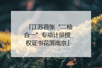 江苏首张“二检合一”专项计量授权证书花落南京