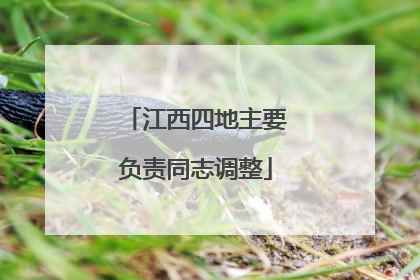 江西四地主要负责同志调整