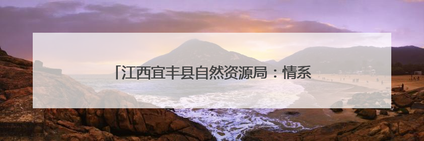江西宜丰县自然资源局：情系业主办实事 贴心服务获锦旗