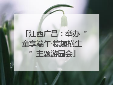 江西广昌：举办“童享端午·粽趣横生”主题游园会