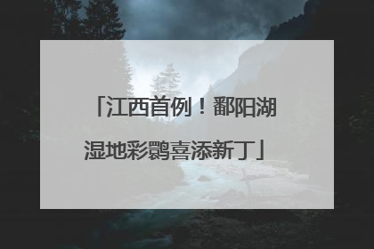 江西首例！鄱阳湖湿地彩鹮喜添新丁