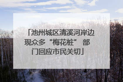 池州城区清溪河岸边现众多“梅花桩” 部门回应市民关切