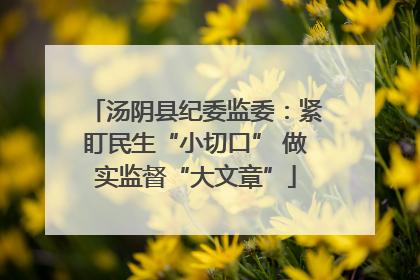 汤阴县纪委监委：紧盯民生“小切口” 做实监督“大文章”