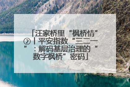 汪家桥里“枫桥情”②丨平安指数“三二一”：解码基层治理的“数字枫桥”密码