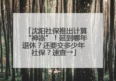 沈阳社保推出计算“神器”！延到哪年退休？还要交多少年社保？速查→