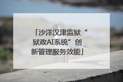 沙洋汉津监狱“狱政AI系统”创新管理服务效能