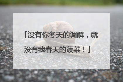 没有你冬天的调解，就没有我春天的菠菜！