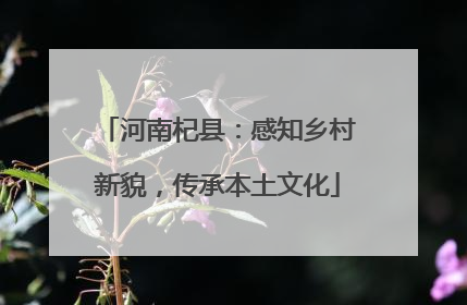 河南杞县：感知乡村新貌，传承本土文化