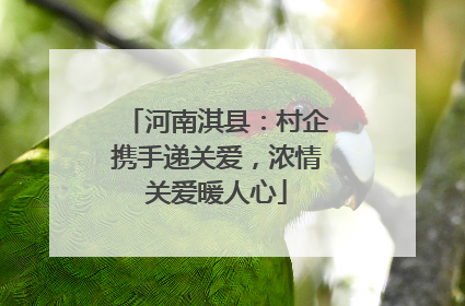 河南淇县：村企携手递关爱，浓情关爱暖人心