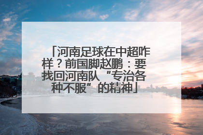 河南足球在中超咋样？前国脚赵鹏：要找回河南队“专治各种不服”的精神