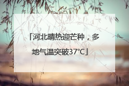 河北晴热迎芒种，多地气温突破37℃