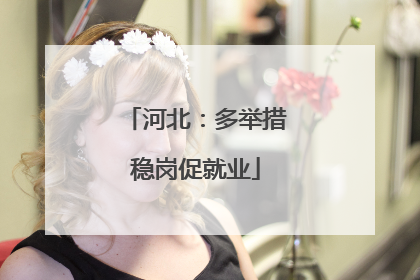 河北：多举措稳岗促就业