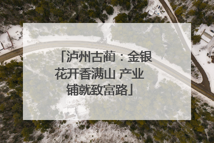 泸州古蔺：金银花开香满山 产业铺就致富路
