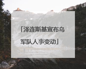 泽连斯基宣布乌军队人事变动