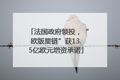 法国政府领投，“欧版星链”获13.5亿欧元增资承诺
