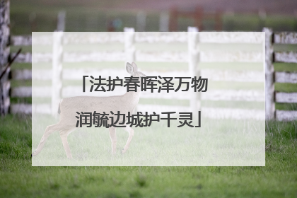 法护春晖泽万物 润毓边城护千灵