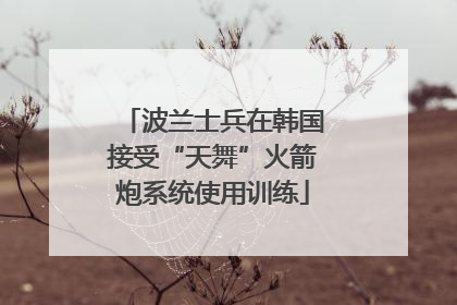波兰士兵在韩国接受“天舞”火箭炮系统使用训练