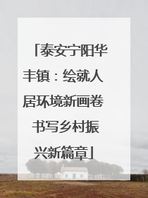泰安宁阳华丰镇：绘就人居环境新画卷 书写乡村振兴新篇章