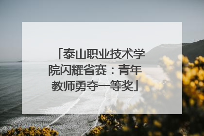 泰山职业技术学院闪耀省赛：青年教师勇夺一等奖