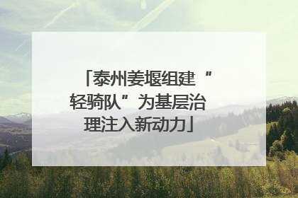泰州姜堰组建“轻骑队”为基层治理注入新动力