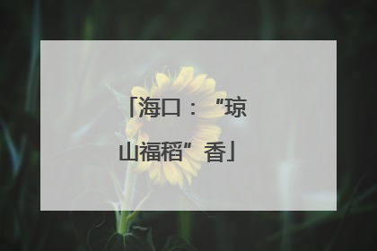 海口：“琼山福稻”香