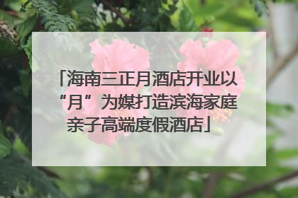 海南三正月酒店开业以“月”为媒打造滨海家庭亲子高端度假酒店