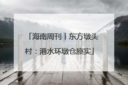 海南周刊丨东方墩头村：港水环墩仓廪实