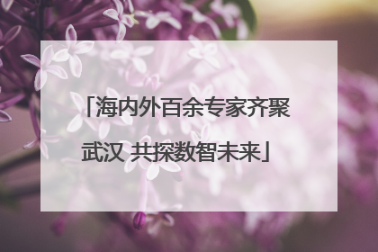 海内外百余专家齐聚武汉 共探数智未来