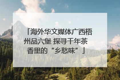 海外华文媒体广西梧州品六堡 探寻千年茶香里的“乡愁味”