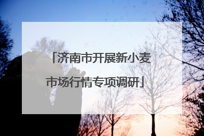 济南市开展新小麦市场行情专项调研