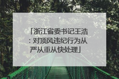 浙江省委书记王浩：对顶风违纪行为从严从重从快处理
