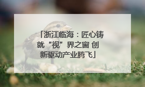 浙江临海：匠心铸就“视”界之窗 创新驱动产业腾飞