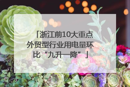 浙江前10大重点外贸型行业用电量环比“九升一降”