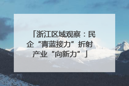 浙江区域观察：民企“青蓝接力”折射产业“向新力”