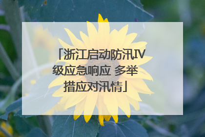 浙江启动防汛Ⅳ级应急响应 多举措应对汛情