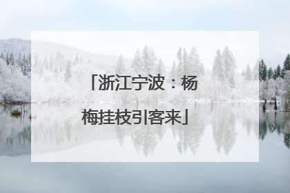 浙江宁波：杨梅挂枝引客来
