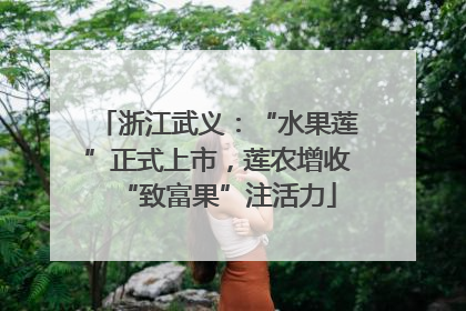 浙江武义：“水果莲”正式上市，莲农增收“致富果”注活力