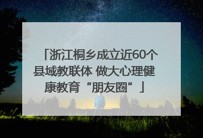浙江桐乡成立近60个县域教联体 做大心理健康教育“朋友圈”