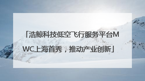浩鲸科技低空飞行服务平台MWC上海首秀，推动产业创新