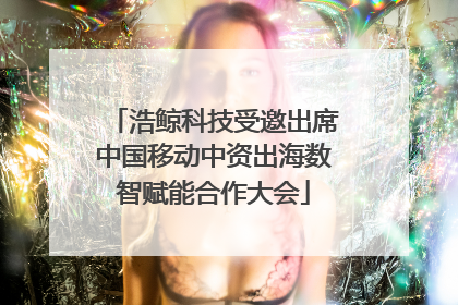 浩鲸科技受邀出席中国移动中资出海数智赋能合作大会
