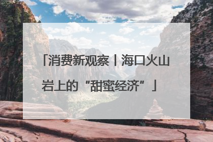 消费新观察丨海口火山岩上的“甜蜜经济”