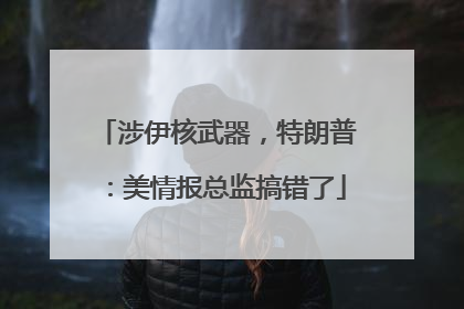 涉伊核武器，特朗普：美情报总监搞错了