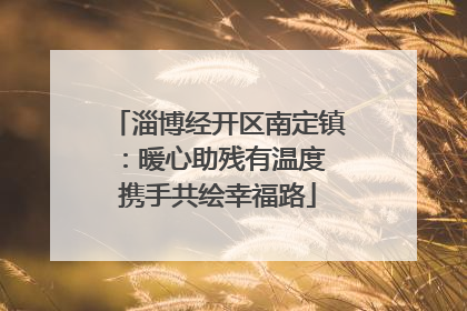 淄博经开区南定镇：暖心助残有温度 携手共绘幸福路