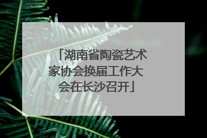 湖南省陶瓷艺术家协会换届工作大会在长沙召开