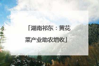 湖南祁东：黄花菜产业助农增收