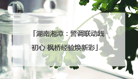 湖南湘潭：警调联动践初心 枫桥经验焕新彩