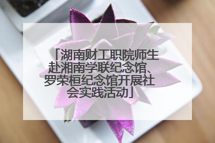 湖南财工职院师生赴湘南学联纪念馆、罗荣桓纪念馆开展社会实践活动