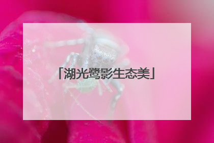 湖光鹭影生态美